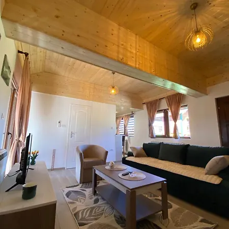 Andrea Apartment Raca (Zlatibor)